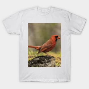 Male Northern Cardinal T-Shirt